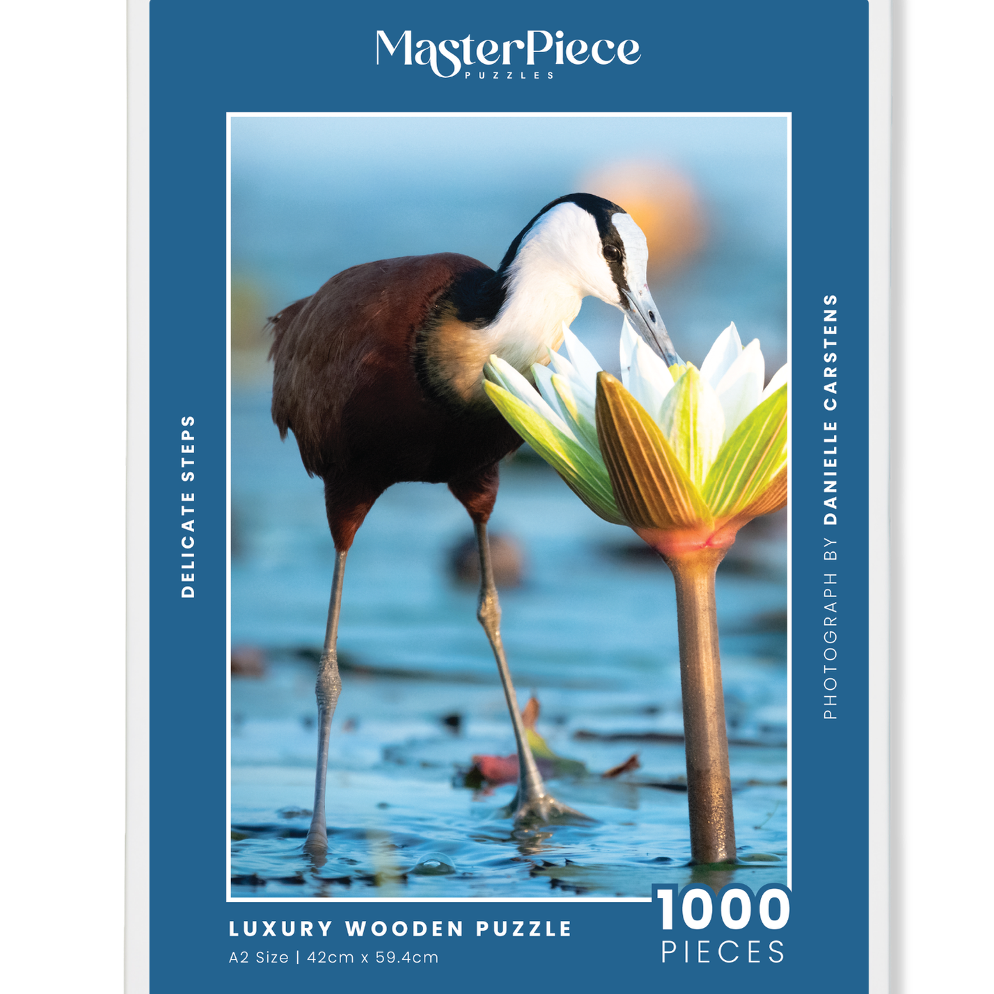 A wooden jigsaw puzzle featuring a photograph of an African Jacana. Perfect for wildlife lovers, birders, nature enthusiasts and gift buyers.