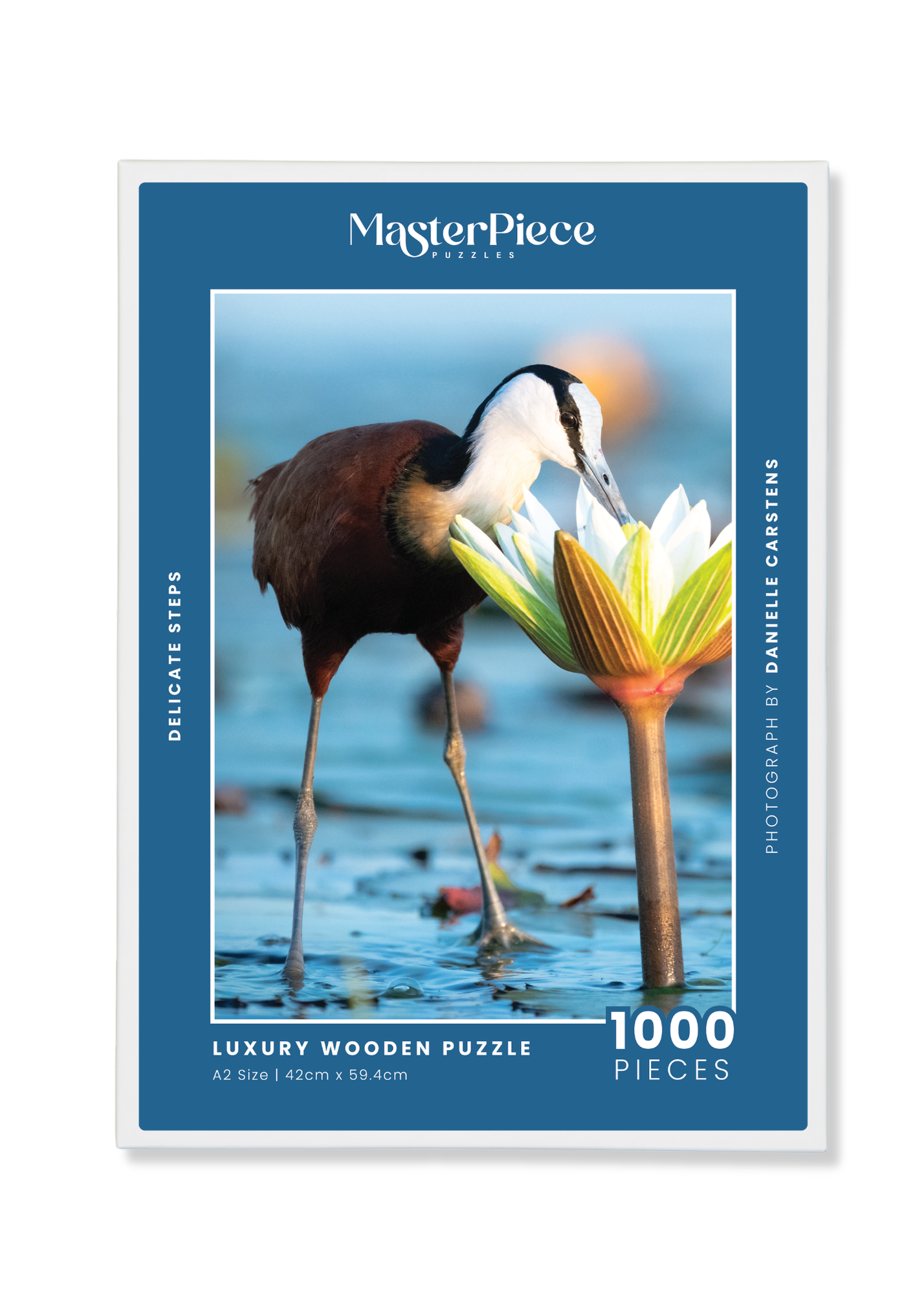 A wooden jigsaw puzzle featuring a photograph of an African Jacana. Perfect for wildlife lovers, birders, nature enthusiasts and gift buyers.