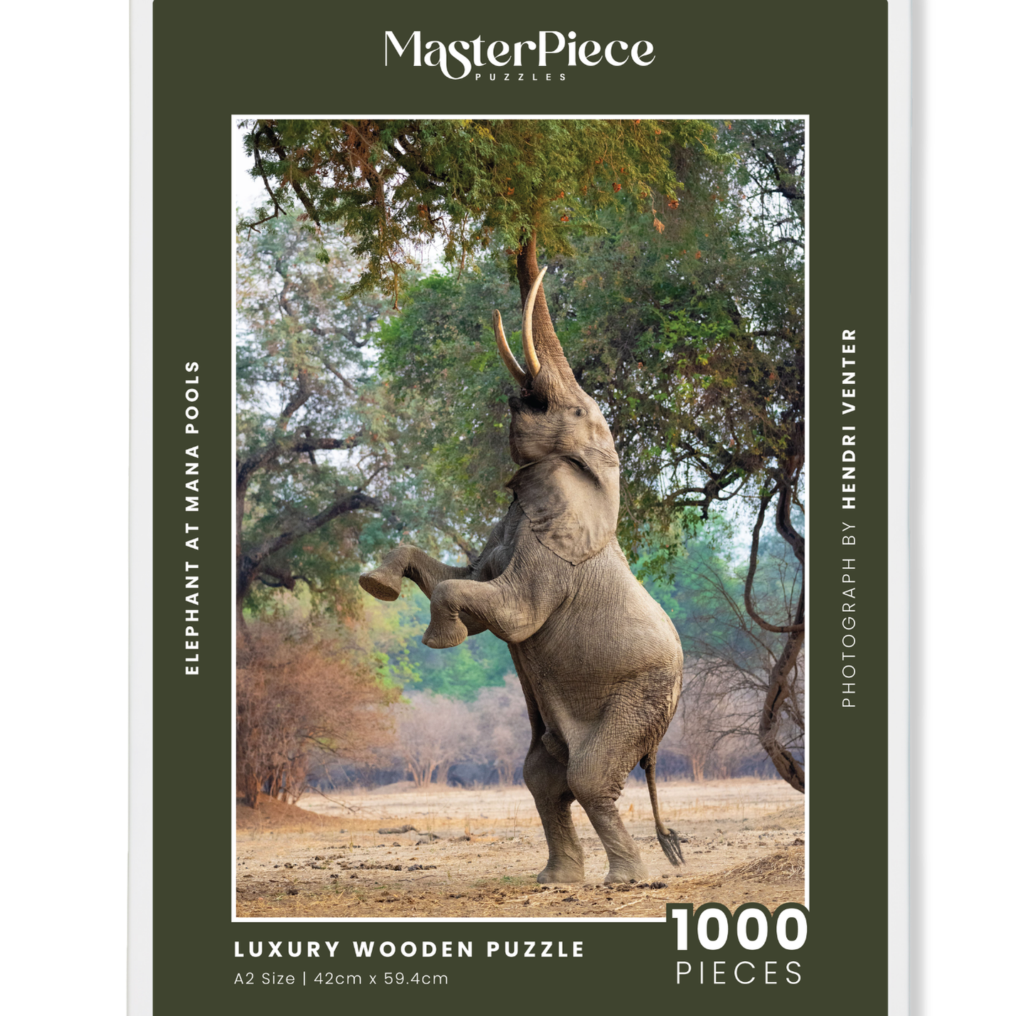 A wooden jigsaw puzzle featuring a striking photograph of an elephant. Perfect for wildlife lovers, nature enthusiasts and anyone looking for a unique gift. 