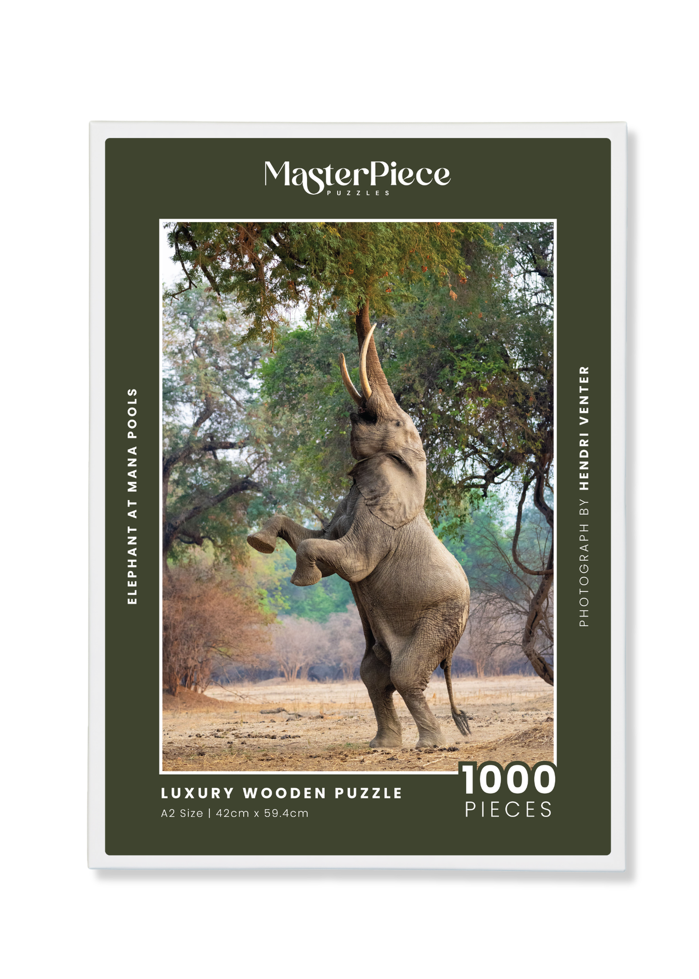 A wooden jigsaw puzzle featuring a striking photograph of an elephant. Perfect for wildlife lovers, nature enthusiasts and anyone looking for a unique gift. 