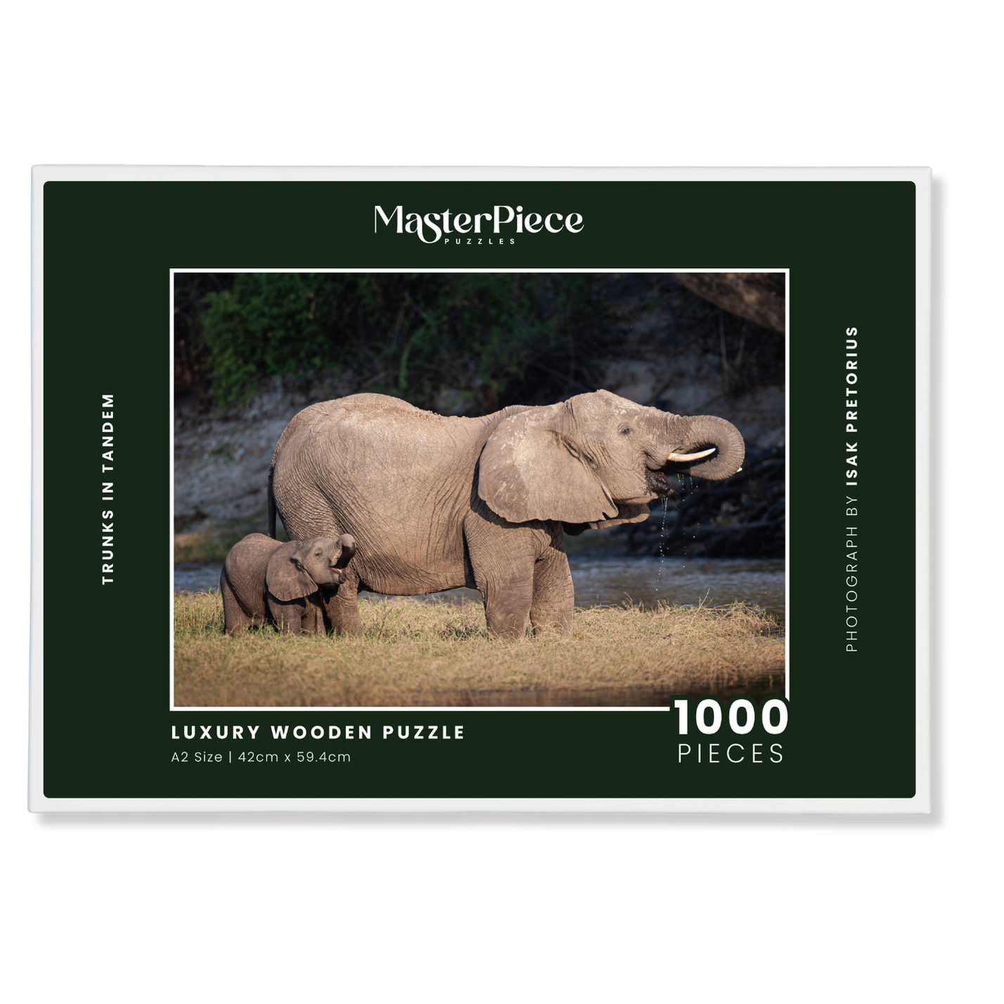 Trunks in Tandem is a MasterPiece wooden jigsaw puzzle that features a beautiful photograph of an elephant and elephant calf both drinking water with their trunks in their mouths.

Precision-cut from 3mm wood and expertly printed, our MasterPiece puzzles offer a tactile and satisfying puzzling experience like no other. They are perfect for wildlife lovers, nature enthusiasts and anyone looking for a thoughtful gift.