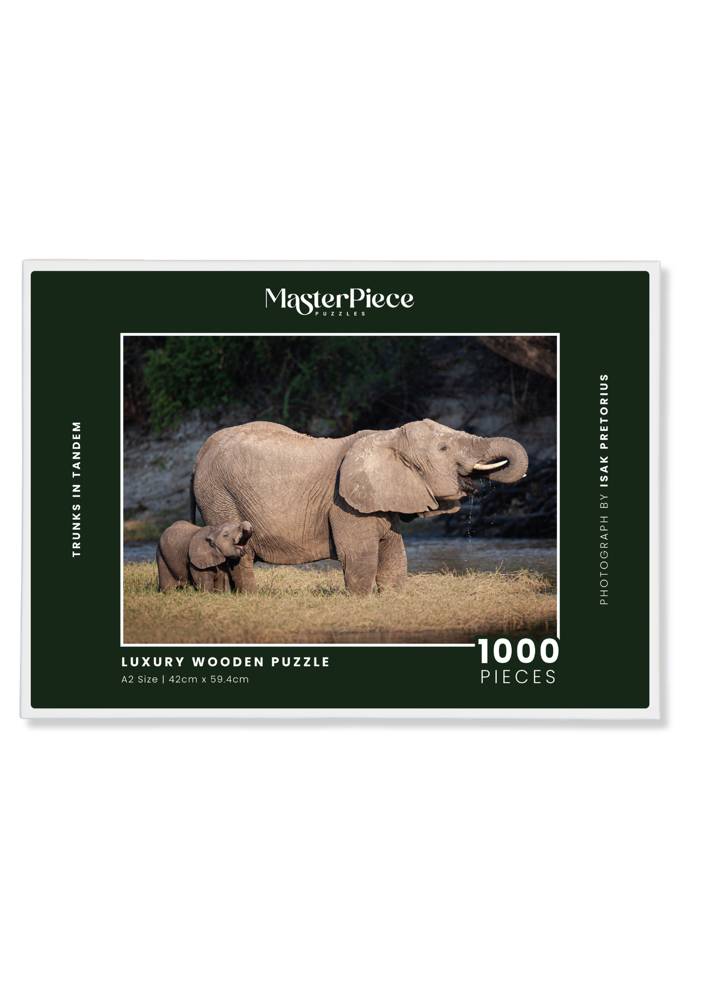 Trunks in Tandem is a MasterPiece wooden jigsaw puzzle that features a beautiful photograph of an elephant and elephant calf both drinking water with their trunks in their mouths.

Precision-cut from 3mm wood and expertly printed, our MasterPiece puzzles offer a tactile and satisfying puzzling experience like no other. They are perfect for wildlife lovers, nature enthusiasts and anyone looking for a thoughtful gift.