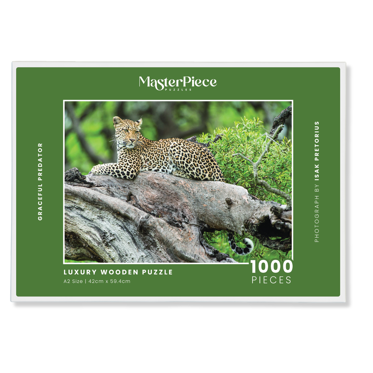 Graceful Predator is a MasterPiece wooden jigsaw puzzle that features a beautiful portrait photograph of a leopard perched on a tree.

Precision-cut from 3mm thick wood and expertly printed, our MasterPiece puzzles offer a tactile and satisfying puzzling experience like no other. They are perfect for wildlife lovers, nature enthusiasts and anyone looking for a thoughtful gift. 