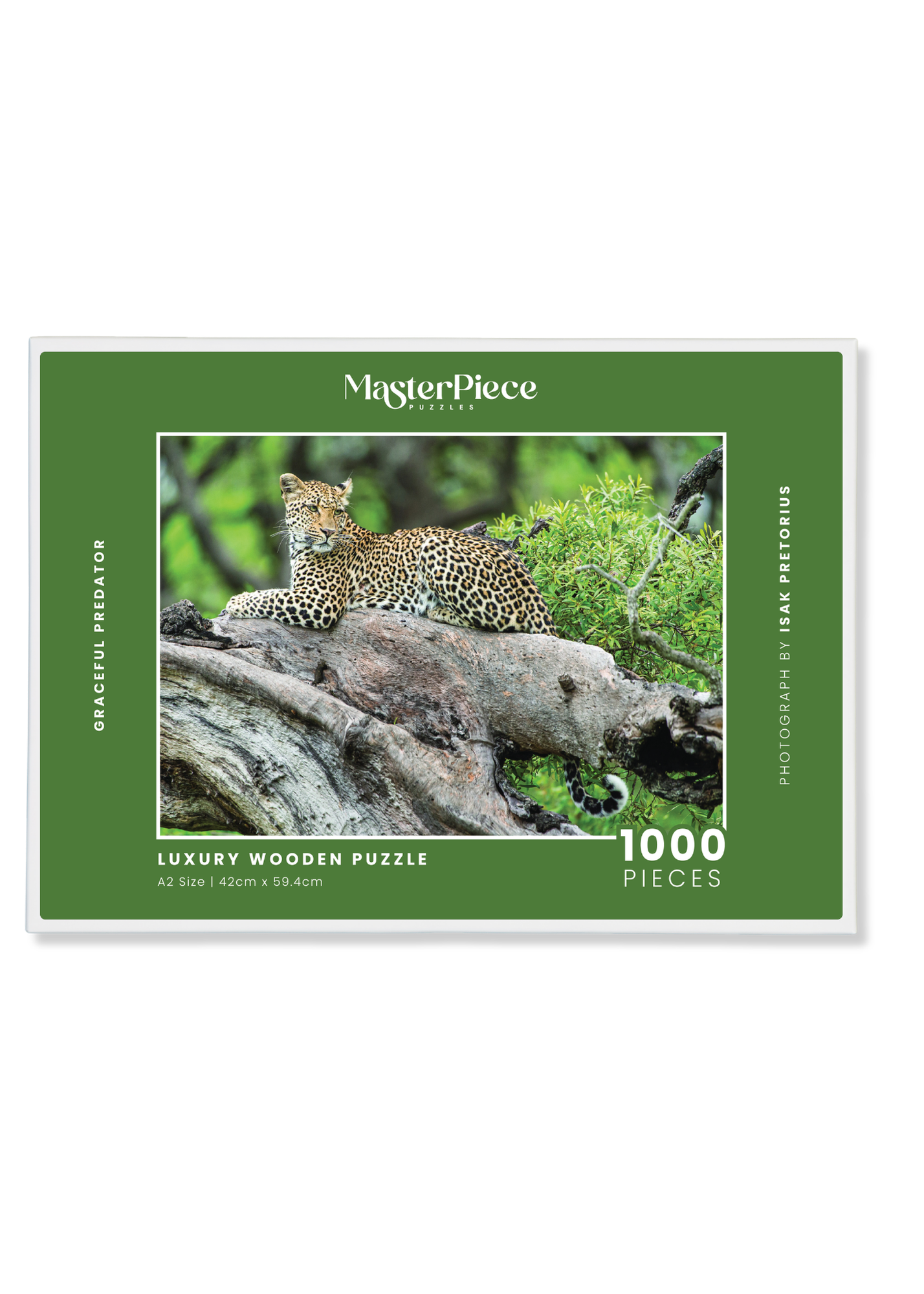 Graceful Predator is a MasterPiece wooden jigsaw puzzle that features a beautiful portrait photograph of a leopard perched on a tree.

Precision-cut from 3mm thick wood and expertly printed, our MasterPiece puzzles offer a tactile and satisfying puzzling experience like no other. They are perfect for wildlife lovers, nature enthusiasts and anyone looking for a thoughtful gift. 