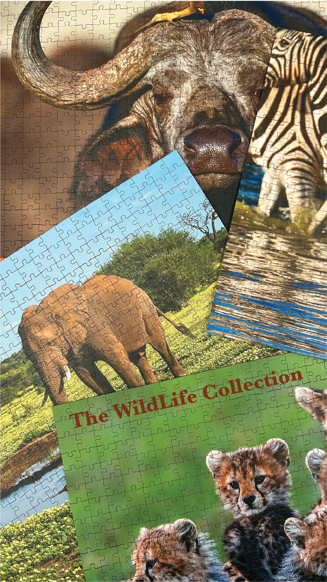 WILDLIFE_MOBILE_BANNER.png