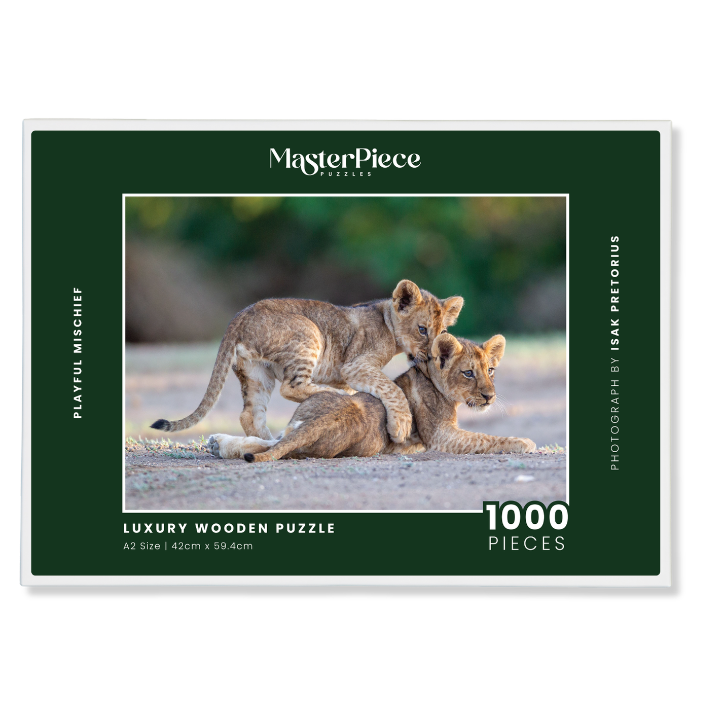 Playful Mischief is a MasterPiece wooden jigsaw puzzle that features a beautiful photograph capturing two lion cubs with one play fighting with the other.

Precision-cut from 3mm wood and expertly printed, our MasterPiece puzzles offer a tactile and satisfying puzzling experience like no other. They are perfect for wildlife lovers, nature enthusiasts and anyone looking for a thoughtful gift. 