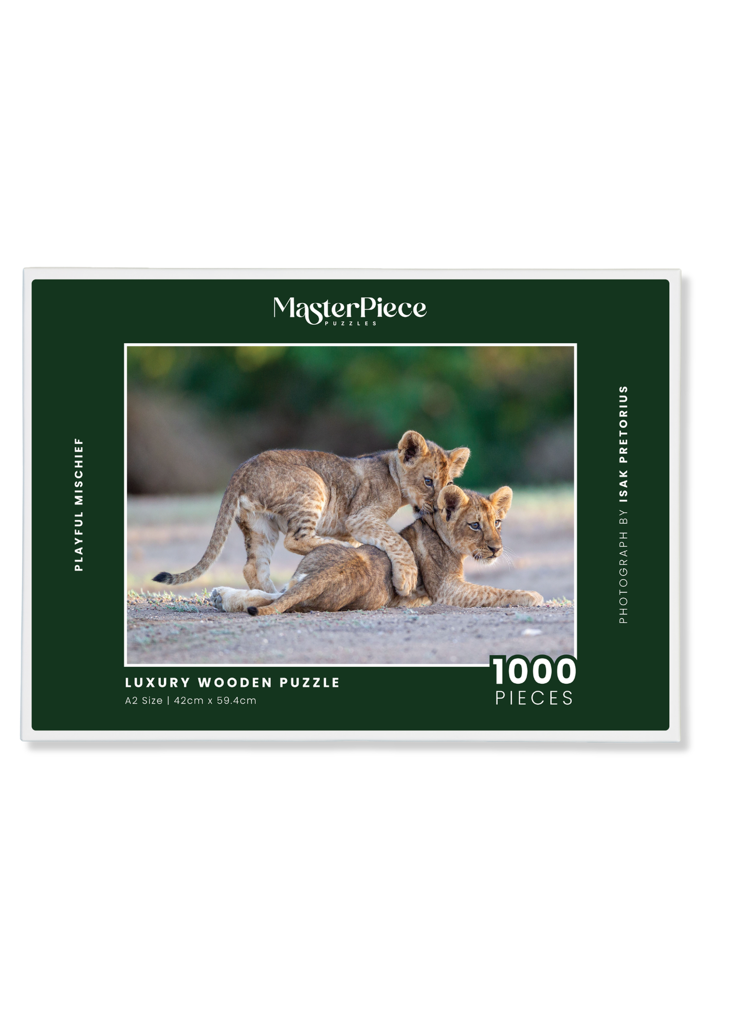 Playful Mischief is a MasterPiece wooden jigsaw puzzle that features a beautiful photograph capturing two lion cubs with one play fighting with the other.

Precision-cut from 3mm wood and expertly printed, our MasterPiece puzzles offer a tactile and satisfying puzzling experience like no other. They are perfect for wildlife lovers, nature enthusiasts and anyone looking for a thoughtful gift. 