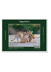 Playful Mischief is a MasterPiece wooden jigsaw puzzle that features a beautiful photograph capturing two lion cubs with one play fighting with the other.

Precision-cut from 3mm wood and expertly printed, our MasterPiece puzzles offer a tactile and satisfying puzzling experience like no other. They are perfect for wildlife lovers, nature enthusiasts and anyone looking for a thoughtful gift. 