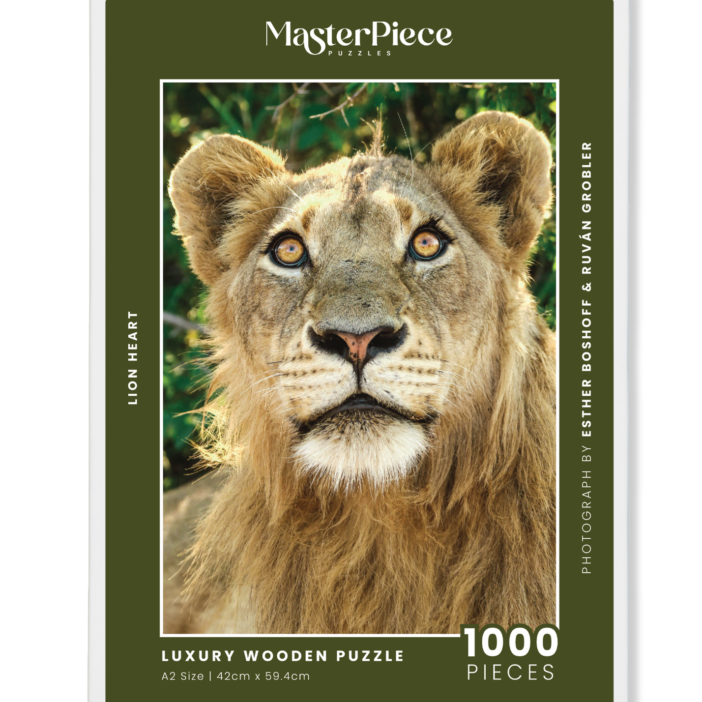 Lionheart is a MasterPiece wooden jigsaw puzzle that features a beautiful portrait photograph of a young male lion.

Precision-cut from 3mm thick wood and expertly printed, our MasterPiece puzzles offer a tactile and satisfying puzzling experience like no other. They are perfect for wildlife lovers, nature enthusiasts and anyone looking for a thoughtful gift. 