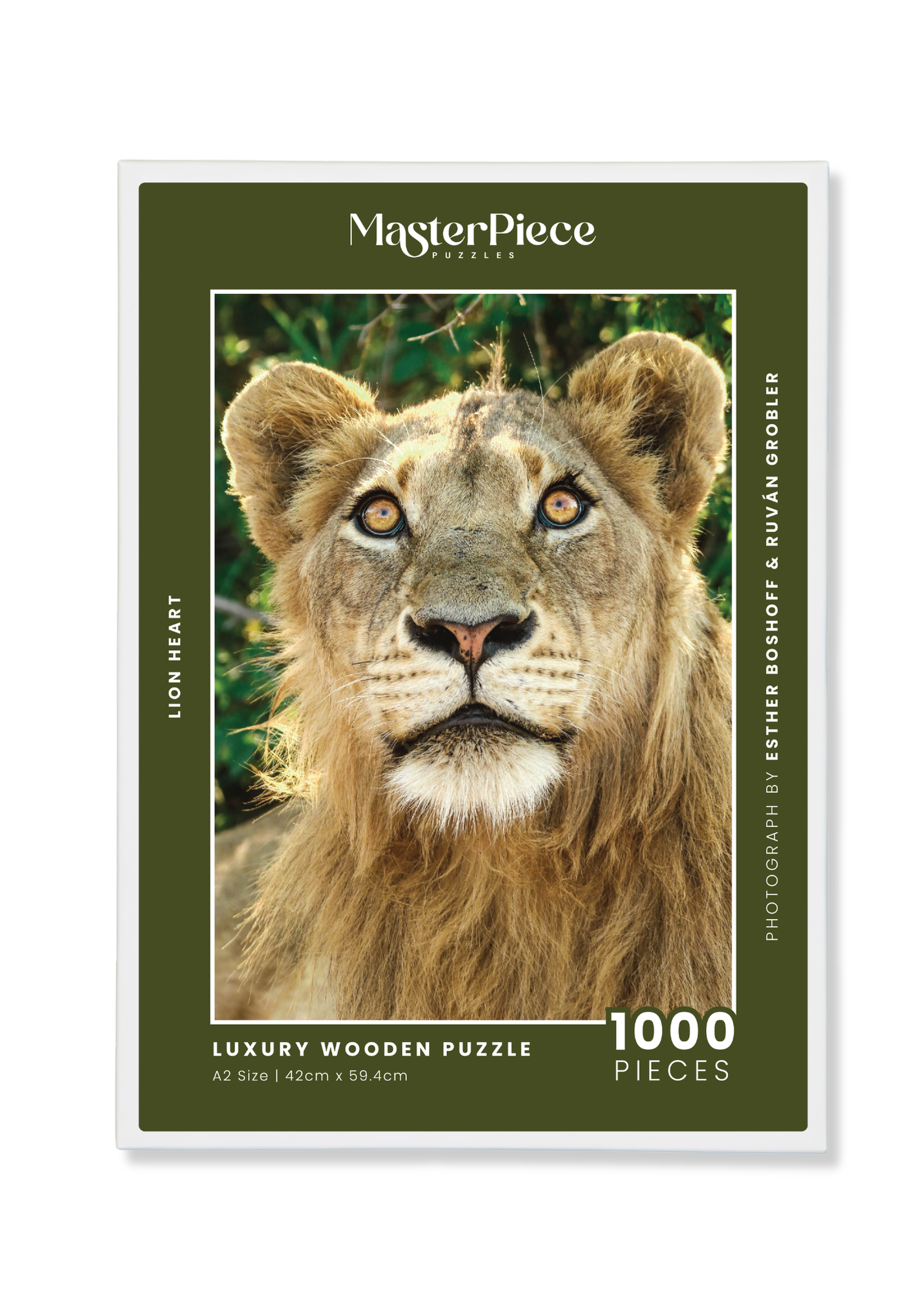 Lionheart is a MasterPiece wooden jigsaw puzzle that features a beautiful portrait photograph of a young male lion.

Precision-cut from 3mm thick wood and expertly printed, our MasterPiece puzzles offer a tactile and satisfying puzzling experience like no other. They are perfect for wildlife lovers, nature enthusiasts and anyone looking for a thoughtful gift. 