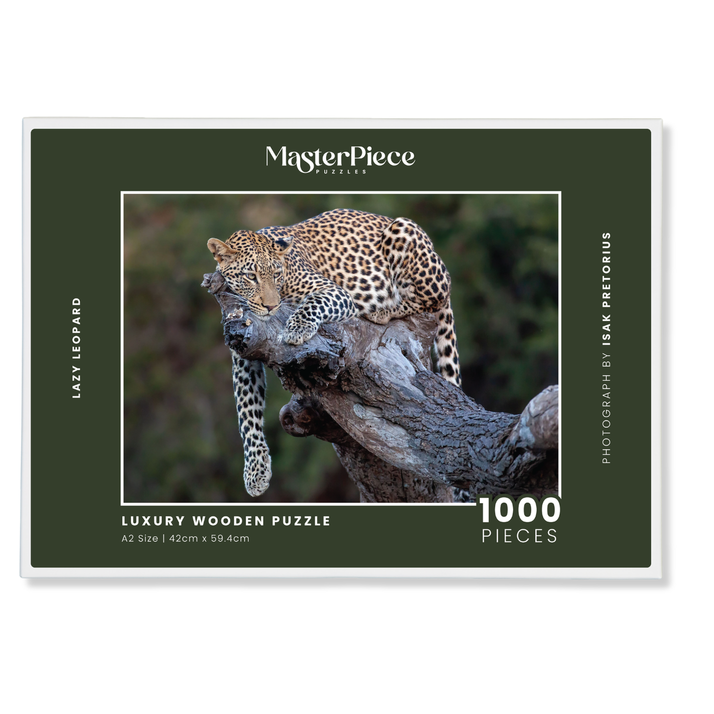 Lazy Leopard is a MasterPiece wooden jigsaw puzzle featuring a beautiful photograph of a leopard lounging over a branch of a tree.

Precision-cut from 3mm thick wood and expertly printed, our MasterPiece puzzles offer a tactile and satisfying puzzling experience like no other. They are perfect for wildlife lovers, nature enthusiasts and anyone looking for a thoughtful gift.