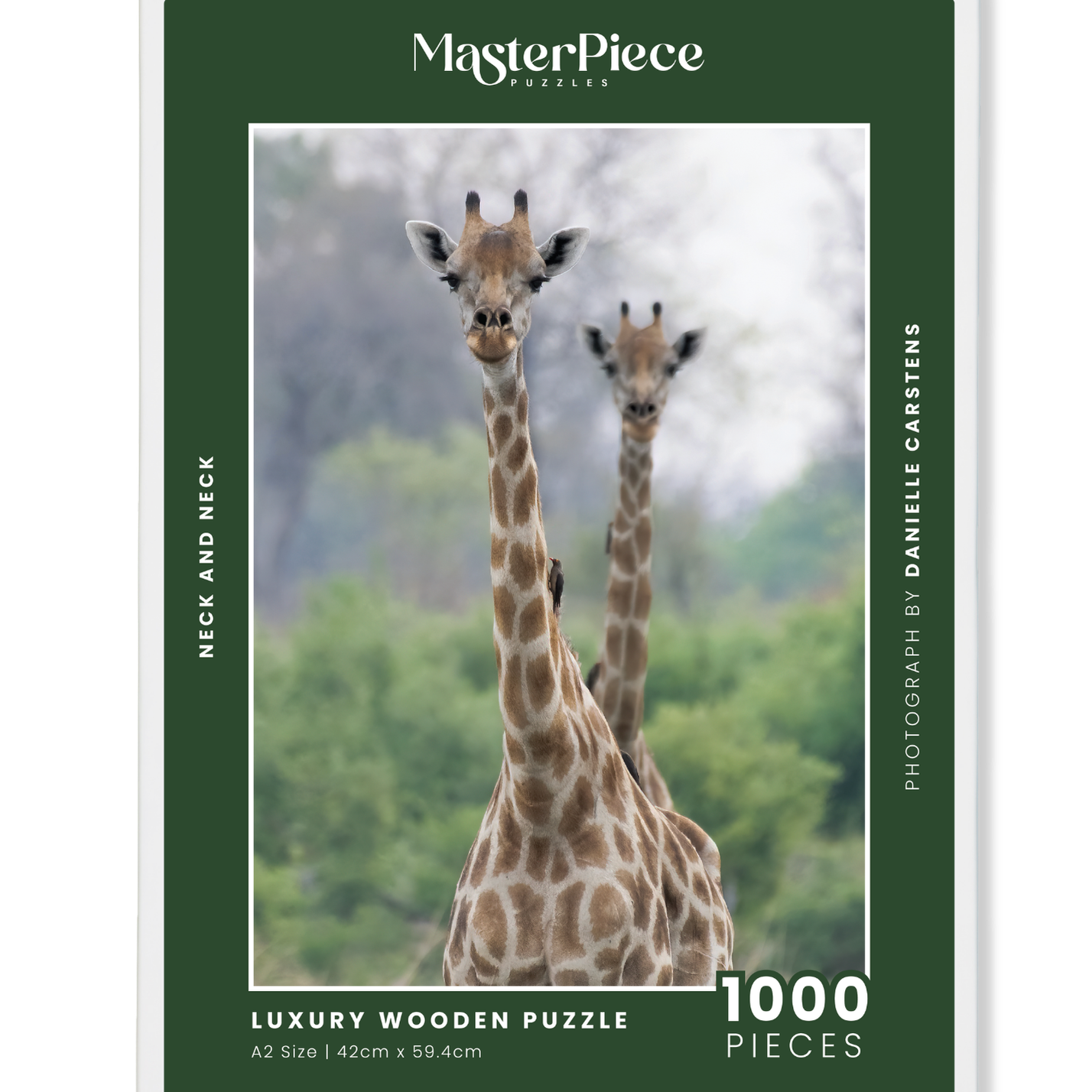 Neck and Neck is a MasterPiece wooden jigsaw puzzle that features a beautiful photograph of two giraffes.

Precision-cut from 3mm wood and expertly printed, our MasterPiece puzzles offer a tactile and satisfying puzzling experience like no other. They are perfect for wildlife lovers, nature enthusiasts and anyone looking for a thoughtful gift.