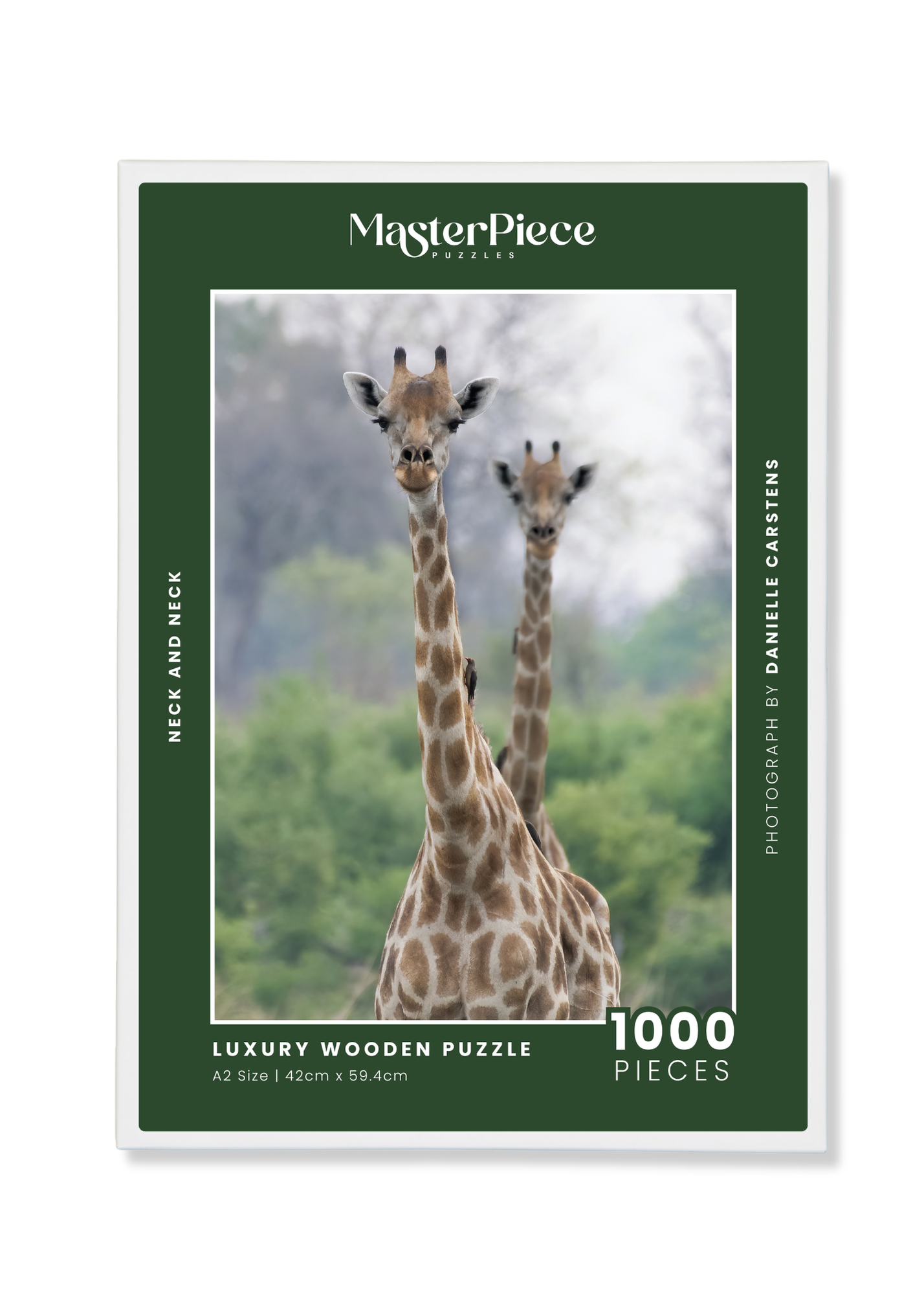 Neck and Neck is a MasterPiece wooden jigsaw puzzle that features a beautiful photograph of two giraffes.

Precision-cut from 3mm wood and expertly printed, our MasterPiece puzzles offer a tactile and satisfying puzzling experience like no other. They are perfect for wildlife lovers, nature enthusiasts and anyone looking for a thoughtful gift.