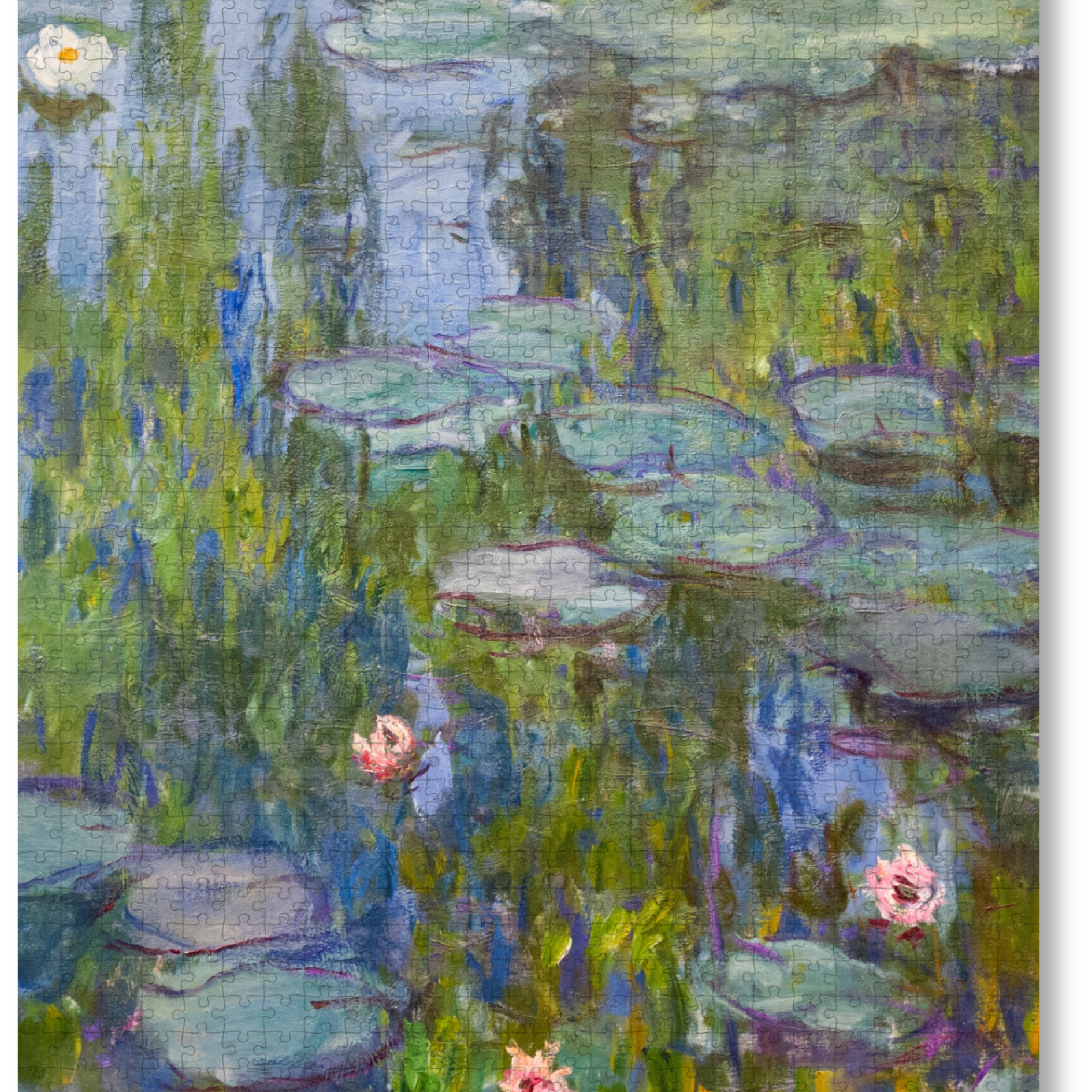 Water Lilies is a MasterPiece wooden jigsaw puzzle of one of Claude Monet’s iconic paintings. This Impressionist piece captures the tranquil beauty of his garden in Giverny. The artwork showcases a  pond filled with water lilies in soft, blended hues of blue, green and pink. 

Precision-cut from 3mm wood and expertly printed, our MasterPiece puzzles offer a tactile and satisfying puzzling experience like no other. They are perfect for classic art lovers and anyone looking for a thoughtful gift.
