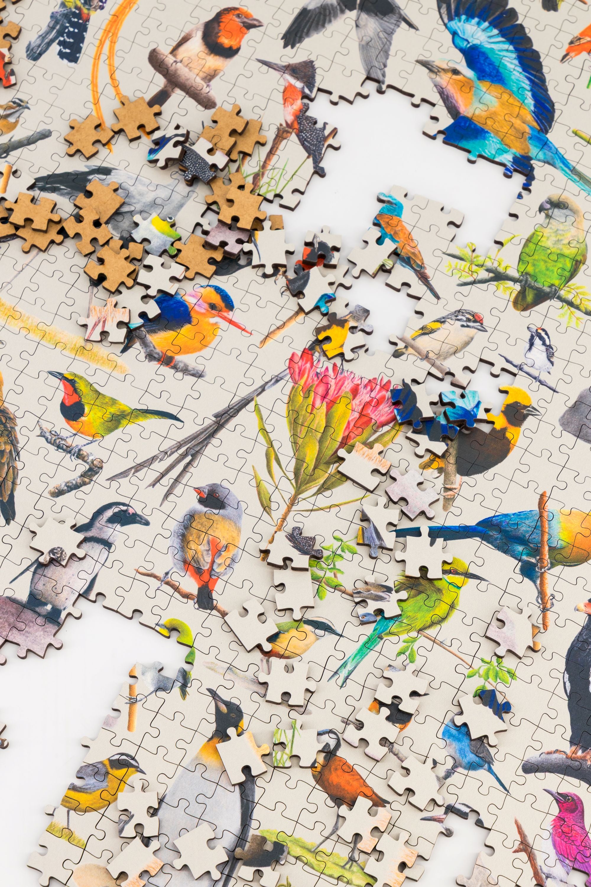A premium wooden jigsaw puzzle that features 68 bird species, hand drawn by Matthew Bell. Perfect for wildlife lovers, bird enthusiasts and gift buyers.