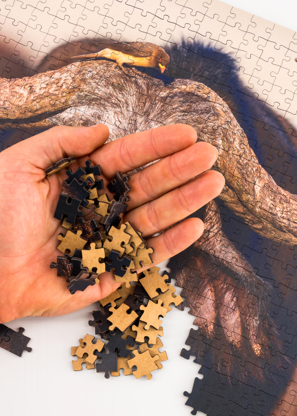 MasterPiece luxury wooden puzzle of a South African wildlife photograph of a buffalo and ox-pecker taken by Isak Pretorius. A way to disconnect, relieve stress and a great gift idea.