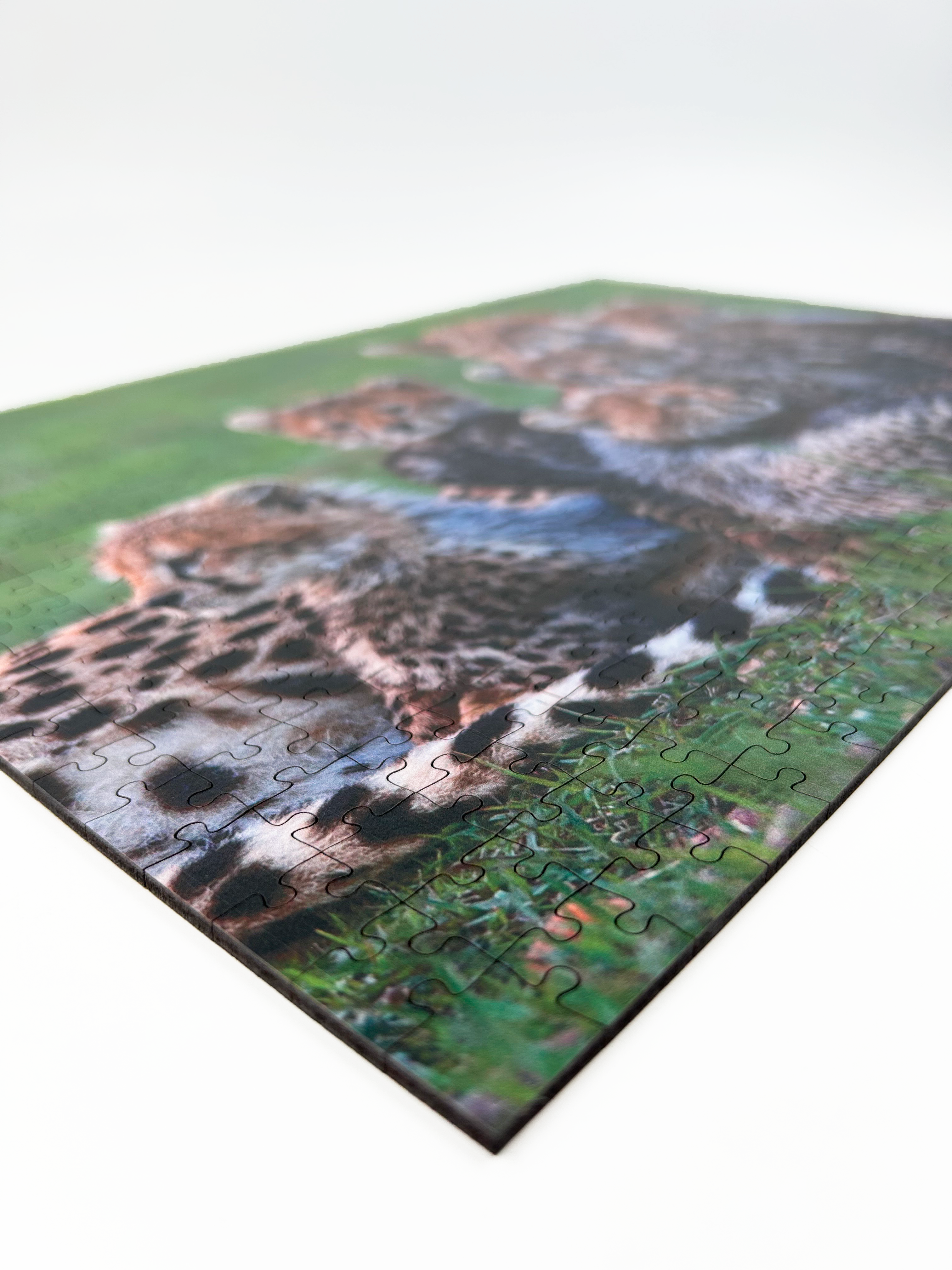 Cheetah Mother And Cubs is a MasterPiece wooden jigsaw puzzle that features a beautiful photograph of a cheetah surrounded by her 5 cubs. 

Precision-cut from 3mm thick wood and expertly printed, our MasterPiece puzzles offer a tactile and satisfying puzzling experience like no other. They are perfect for wildlife lovers, nature enthusiasts and anyone looking for a thoughtful gift 