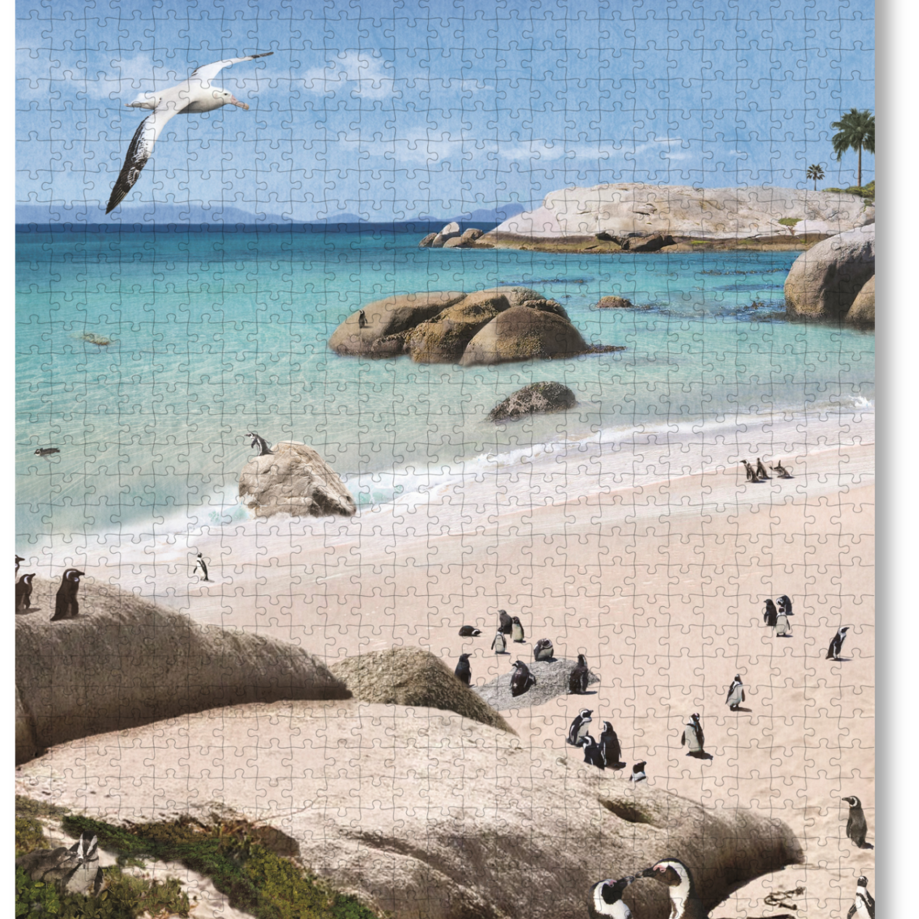 Boulders Beach is a MasterPiece wooden jigsaw puzzle from the African Odyssey poster series designed to showcases Africa’s most iconic natural wonders. Boulders Beach is a haven for African penguins.Precision-cut from 3mm thick wood and expertly printed, our MasterPiece puzzles offer a tactile and satisfying puzzling experience like no other. They are perfect for art lovers, nature enthusiasts and anyone looking for a thoughtful gift.