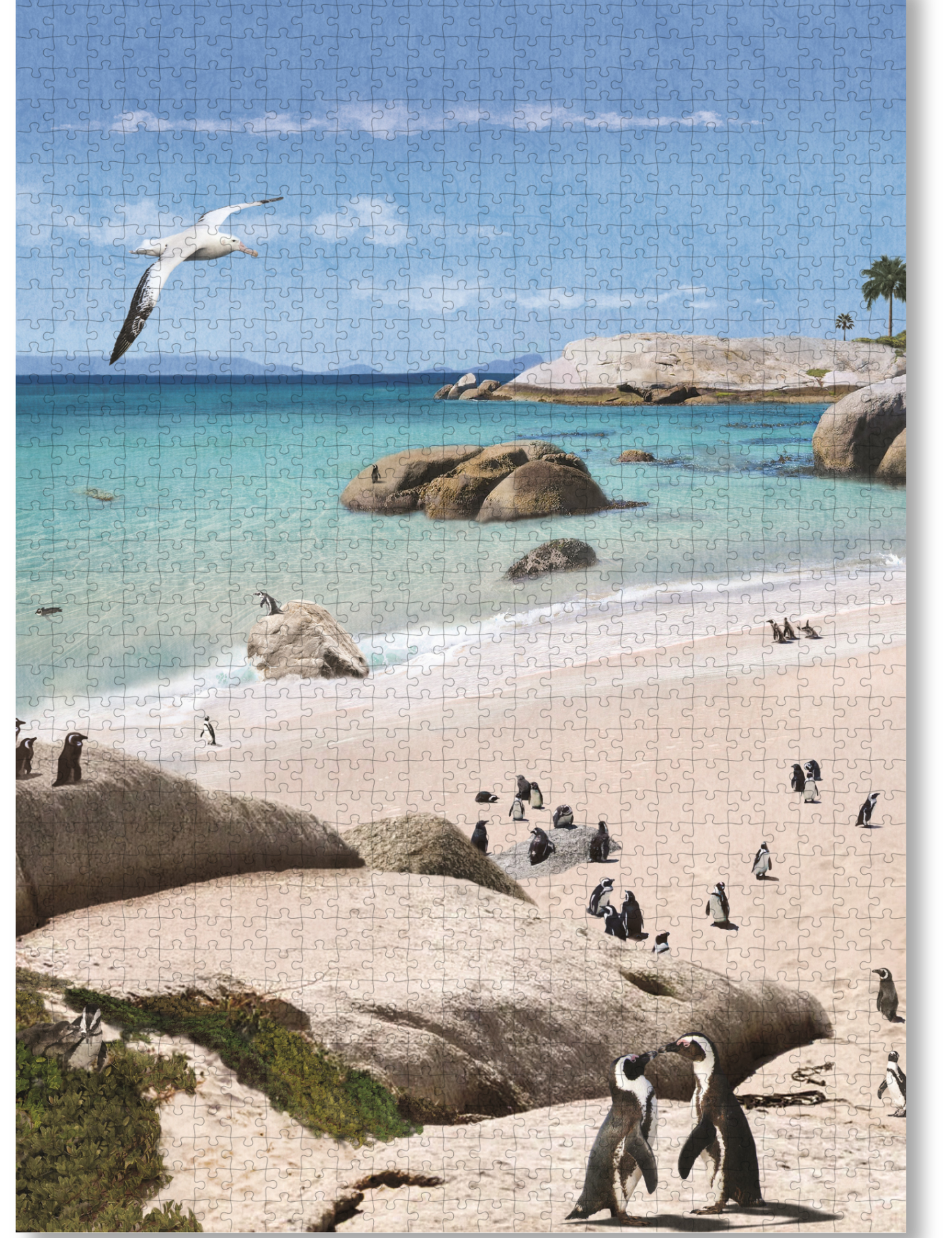 Boulders Beach is a MasterPiece wooden jigsaw puzzle from the African Odyssey poster series designed to showcases Africa’s most iconic natural wonders. Boulders Beach is a haven for African penguins.Precision-cut from 3mm thick wood and expertly printed, our MasterPiece puzzles offer a tactile and satisfying puzzling experience like no other. They are perfect for art lovers, nature enthusiasts and anyone looking for a thoughtful gift.