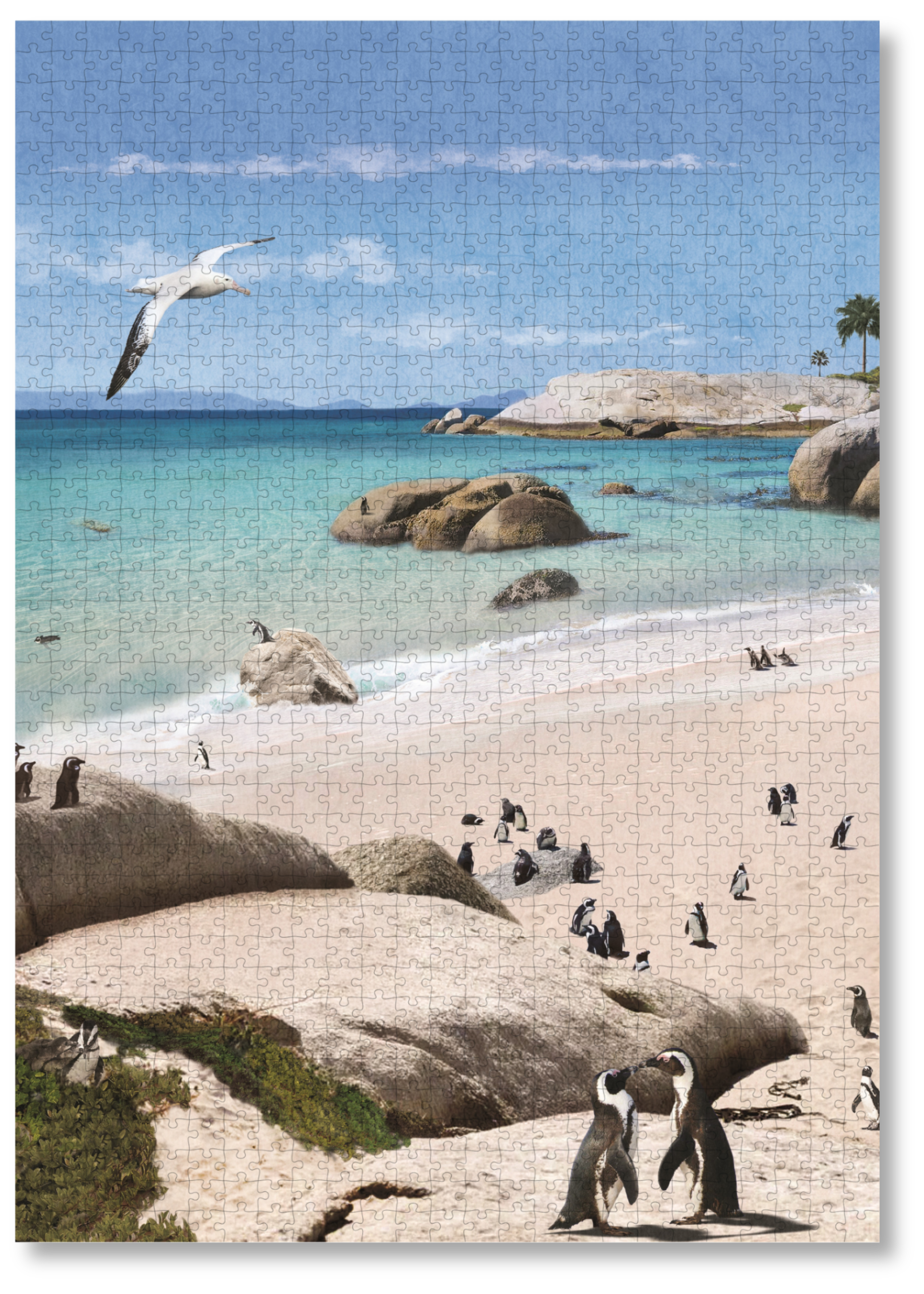 Boulders Beach is a MasterPiece wooden jigsaw puzzle from the African Odyssey poster series designed to showcases Africa’s most iconic natural wonders. Boulders Beach is a haven for African penguins.Precision-cut from 3mm thick wood and expertly printed, our MasterPiece puzzles offer a tactile and satisfying puzzling experience like no other. They are perfect for art lovers, nature enthusiasts and anyone looking for a thoughtful gift.