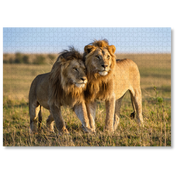 Brotherhood is a premium wooden jigsaw puzzle that features a beautiful photograph of two male lions, taken by local wildlife photographer, Isak Pretorius.
Perfect for wildlife lovers, nature enthusiasts and thoughtful gift buyers.