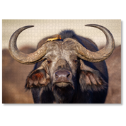 MasterPiece luxury wooden puzzle of a South African wildlife photograph of a buffalo and ox-pecker taken by Isak Pretorius. A way to disconnect, relieve stress and a great gift idea.