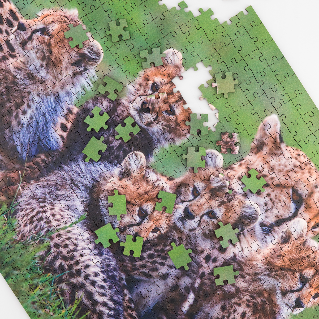 chee.png