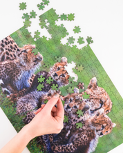 Cheetah Mother And Cubs is a MasterPiece wooden jigsaw puzzle that features a beautiful photograph of a cheetah surrounded by her 5 cubs. 

Precision-cut from 3mm thick wood and expertly printed, our MasterPiece puzzles offer a tactile and satisfying puzzling experience like no other. They are perfect for wildlife lovers, nature enthusiasts and anyone looking for a thoughtful gift 