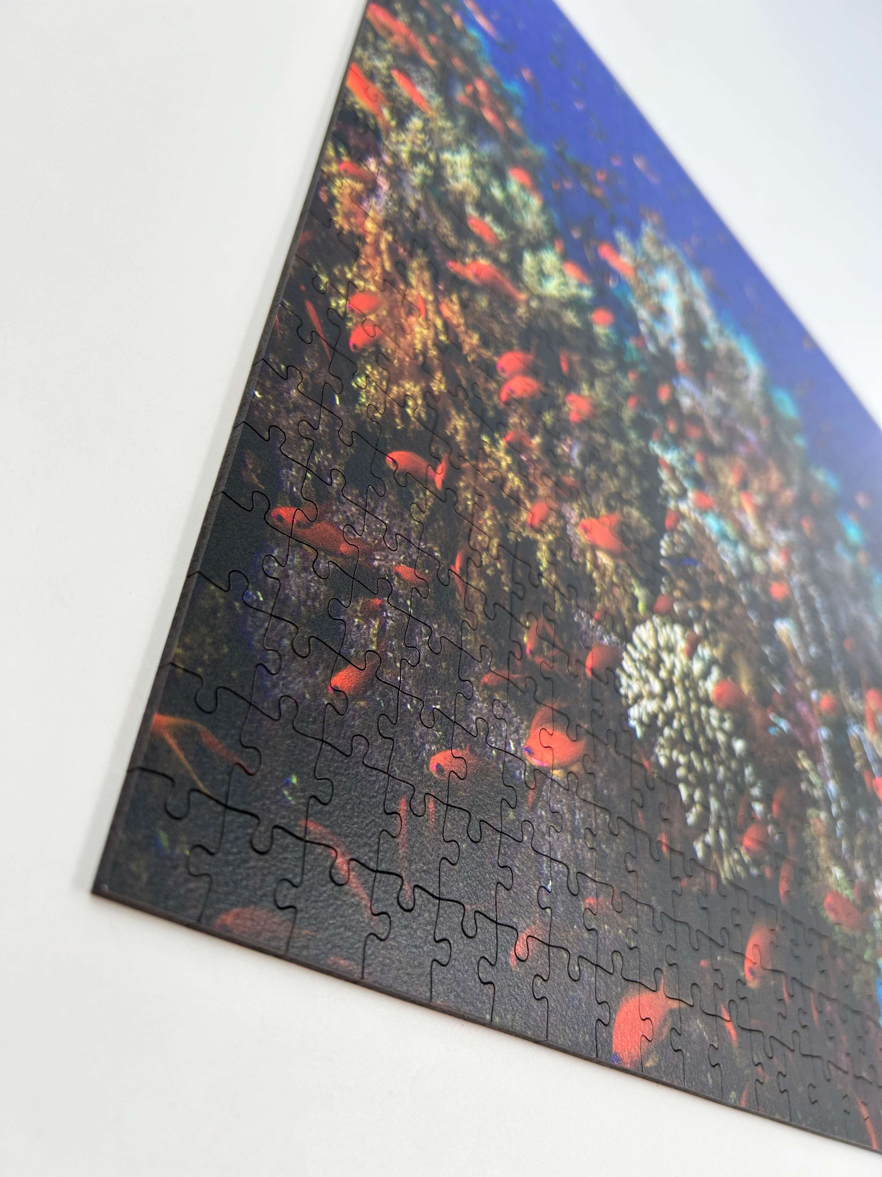 Coral Reef Confetti is a MasterPiece wooden jigsaw puzzle that features a beautiful underwater photograph of a coral reef swarmed by swimming fish.

Precision-cut from 3mm wood and expertly printed, our MasterPiece puzzles offer a tactile and satisfying puzzling experience like no other. They are perfect for ocean lovers, nature enthusiasts and anyone looking for a thoughtful gift. 
