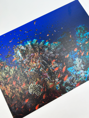 Coral Reef Confetti is a MasterPiece wooden jigsaw puzzle that features a beautiful underwater photograph of a coral reef swarmed by swimming fish.

Precision-cut from 3mm wood and expertly printed, our MasterPiece puzzles offer a tactile and satisfying puzzling experience like no other. They are perfect for ocean lovers, nature enthusiasts and anyone looking for a thoughtful gift. 