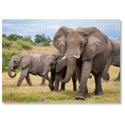 Elephant Family is a wooden jigsaw puzzle featuring a photograph of a herd of elephants.  Perfect for wildlife lovers, nature enthusiasts and gift givers.