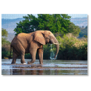 A wooden jigsaw puzzle featuring a photograph of an elephant bull. Perfect for wildlife lovers, nature enthusiasts and anyone looking for a thoughtful gift.