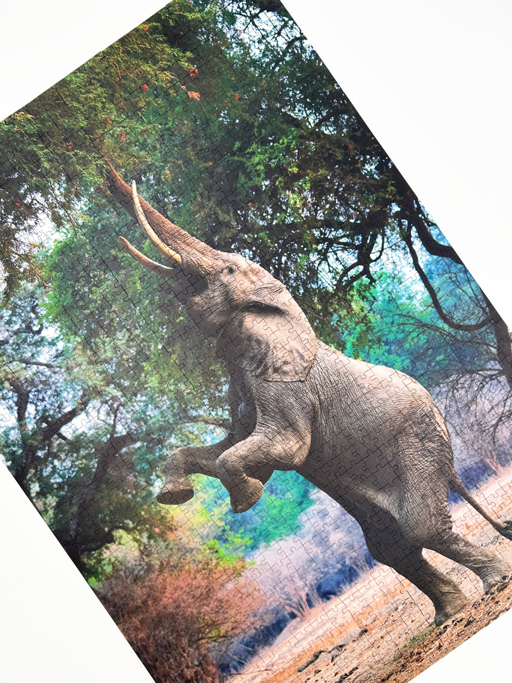A wooden jigsaw puzzle featuring a striking photograph of an elephant. Perfect for wildlife lovers, nature enthusiasts and anyone looking for a unique gift. 
