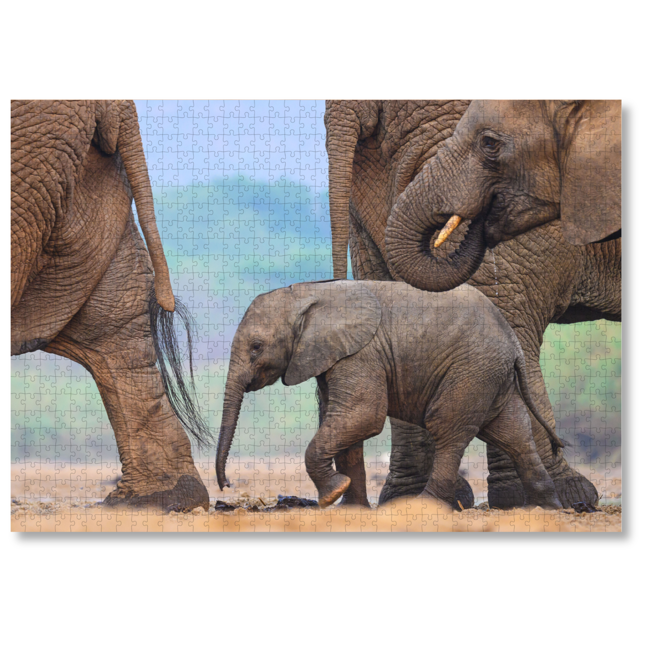 MasterPiece luxury wooden puzzle of a South African wildlife photograph of an elephant calf with other elephants taken by Hendri Venter. A way to disconnect, relieve stress and a great gift idea.