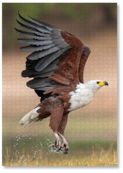A wooden jigsaw puzzle featuring photograph of a fish eagle. Perfect for wildlife lovers, birders, nature enthusiasts and anyone looking for a thoughtful gift. 