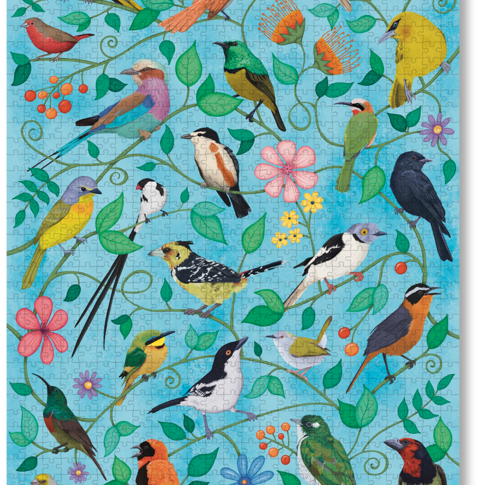 For The Love Of Birds is a MasterPiece wooden jigsaw puzzle that features South Africa's garden birds. The African Paradise Flycatcher, Crested Barbet and Black Headed Oriole are just some of the 24 different species you can spot in this eye-catching puzzle! Precision-cut from 3mm thick wood and expertly printed, our MasterPiece puzzles offer a tactile and satisfying puzzling experience like no other. They are perfect for art lovers, proud South Africans, tourists and anyone looking for a thoughtful gift.