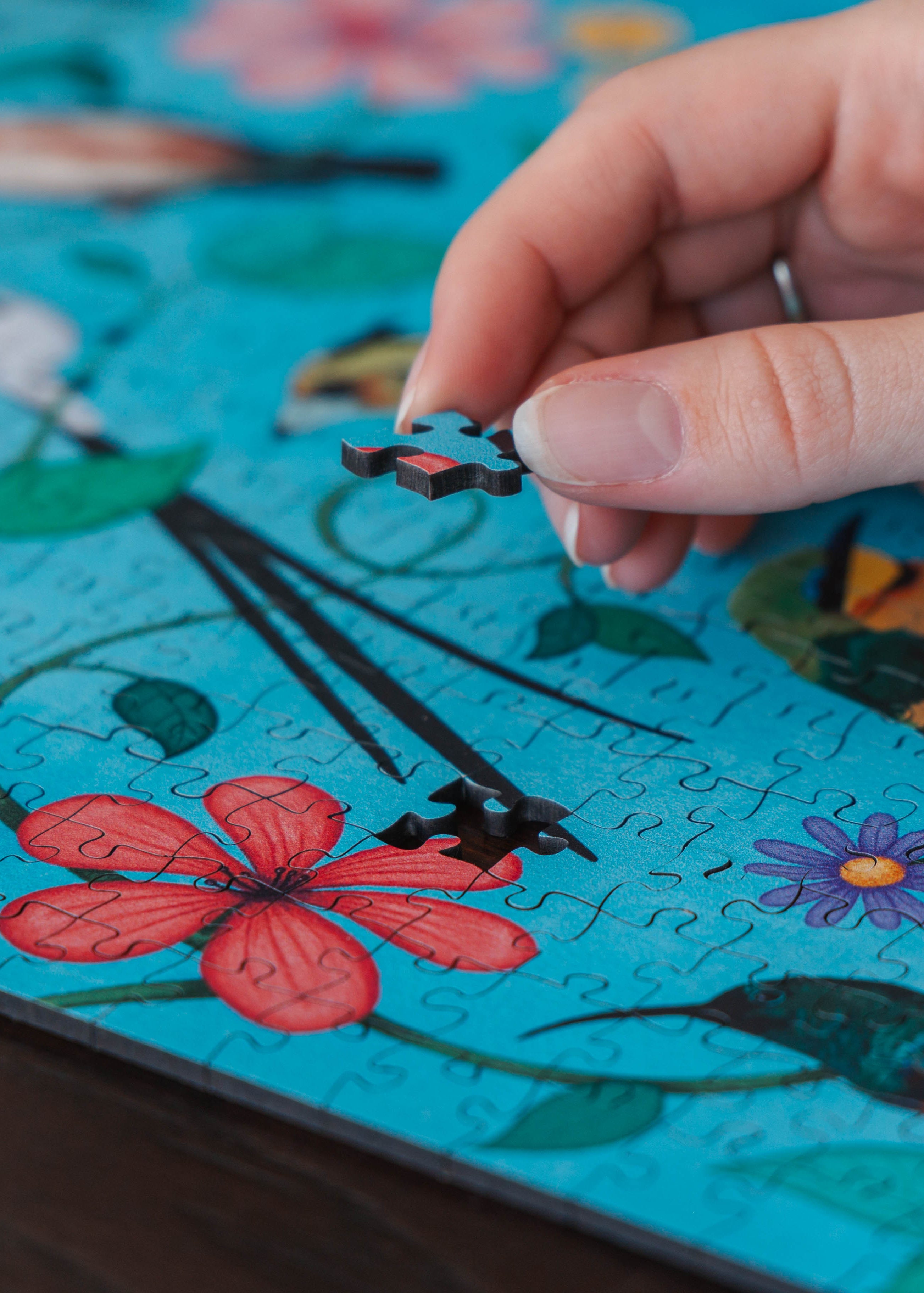 For The Love Of Birds by Claire Norden – MasterPiece Puzzles