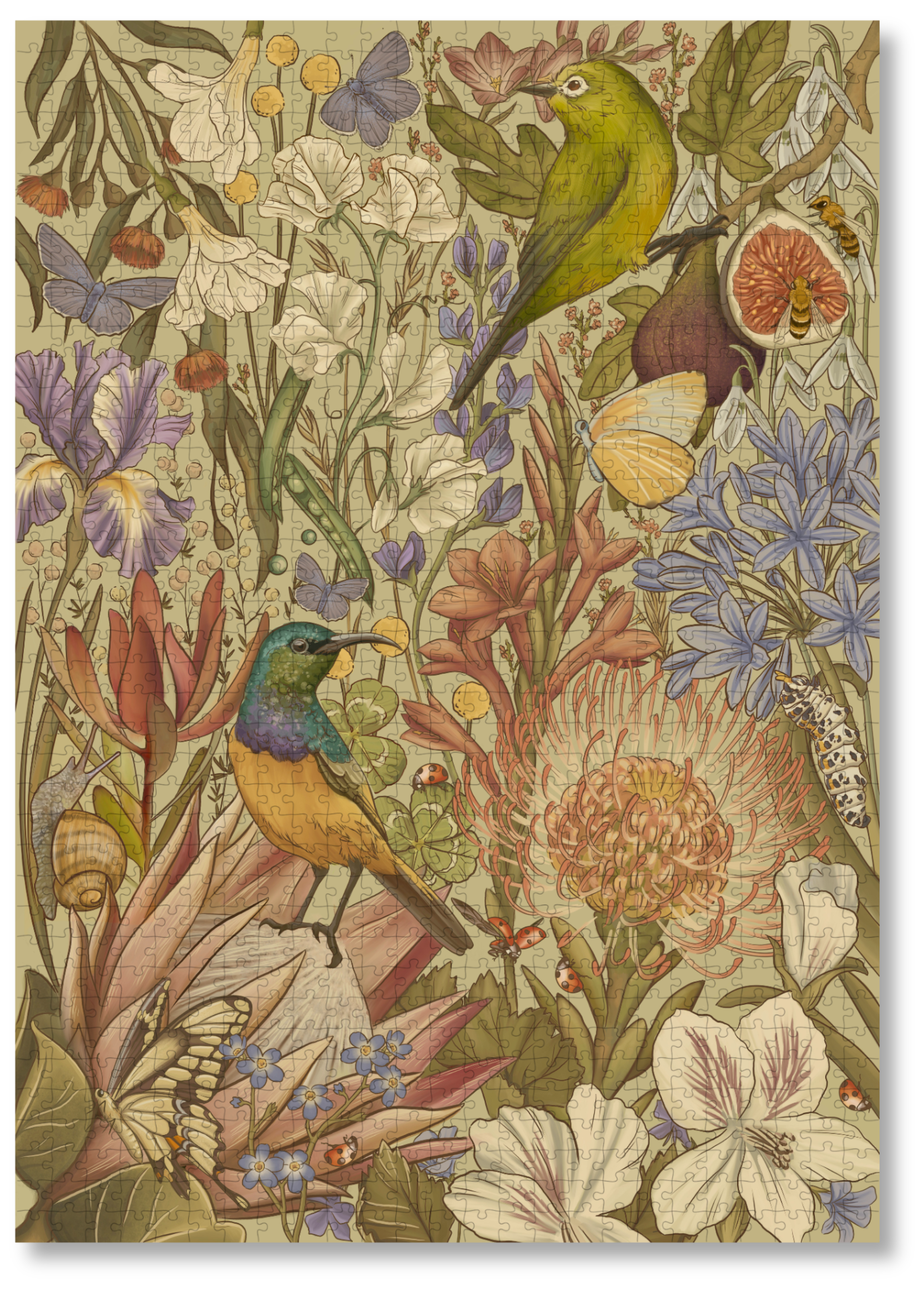 Fynbos Symphony is a MasterPiece wooden jigsaw puzzle that features a stunning nature-inspired illustration that is rich with diverse flora and fauna. Soft, earthy tones create a vintage botanical aesthetic, while vibrant birds and delicate insects bring the scene to life. Precision-cut from 3mm thick wood and expertly printed, our MasterPiece puzzles offer a tactile and satisfying puzzling experience like no other. They are perfect for art lovers, bird lovers and anyone looking for a thoughtful gift.