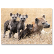 Spotted Hyena Mother And Cubs