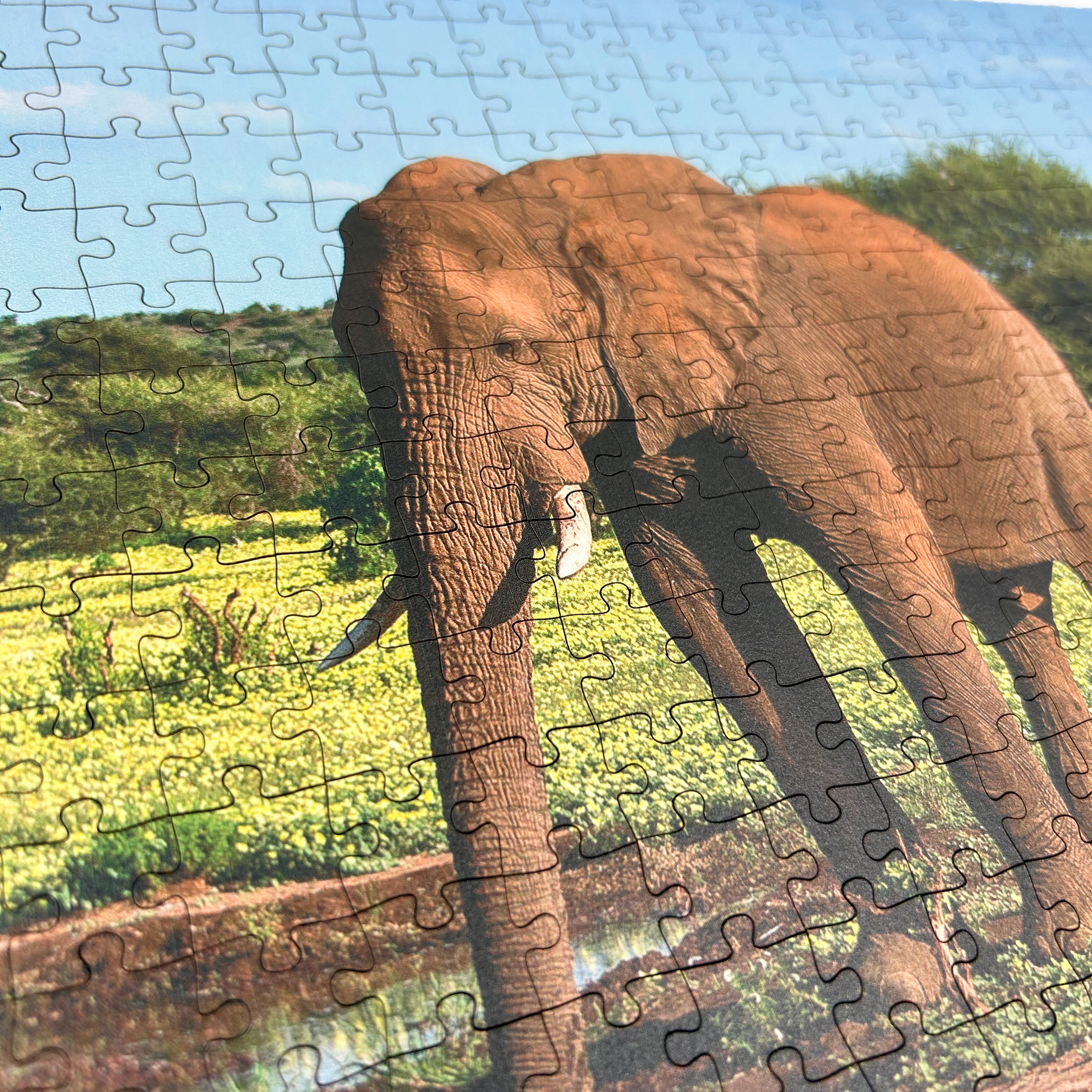 ie1_193110ae-3d96-496f-80f3-5e5b1599770a.png