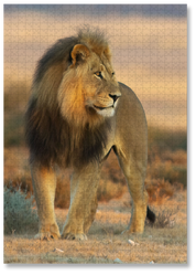 Kalahari Lion is a MasterPiece wooden jigsaw puzzle featuring a beautiful photograph of a male lion in the Kalahari. 

Precision-cut from 3mm thick wood and expertly printed, our MasterPiece puzzles offer a tactile and satisfying puzzling experience like no other. They are perfect for wildlife lovers, nature enthusiasts and anyone looking for a thoughtful gift.