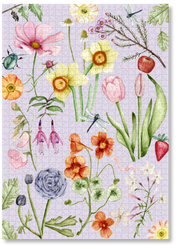 Little Garden Things by Hannah Van Zyl