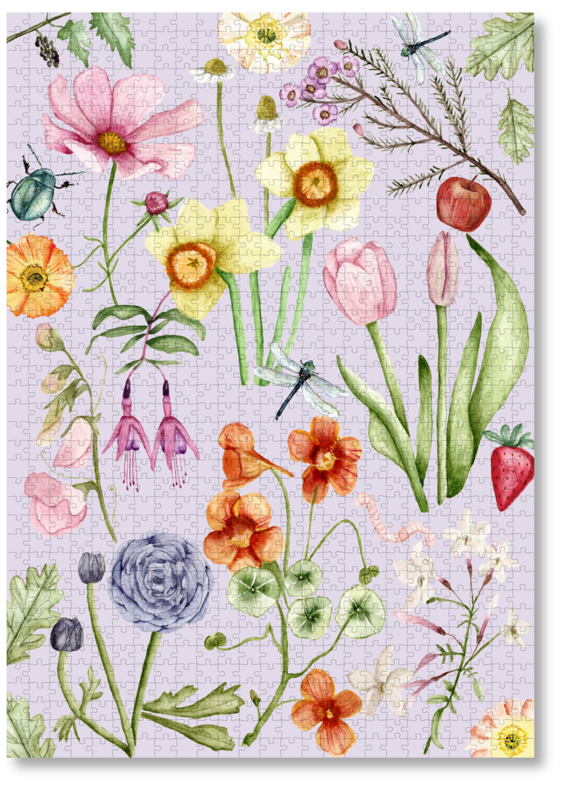 Little Garden Things by Hannah Van Zyl