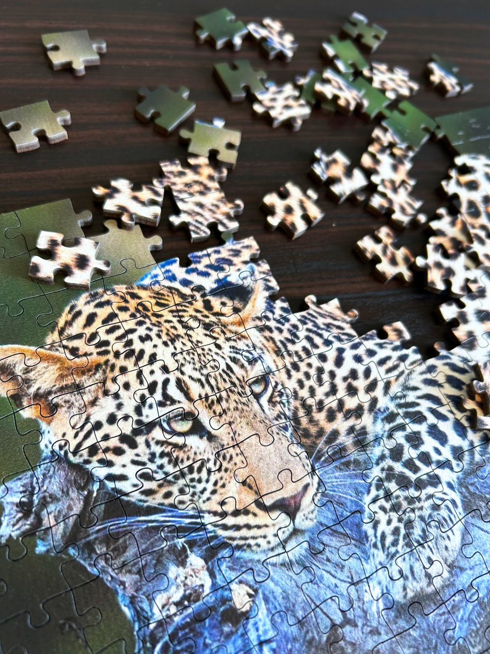 Lazy Leopard is a MasterPiece wooden jigsaw puzzle featuring a beautiful photograph of a leopard lounging over a branch of a tree.

Precision-cut from 3mm thick wood and expertly printed, our MasterPiece puzzles offer a tactile and satisfying puzzling experience like no other. They are perfect for wildlife lovers, nature enthusiasts and anyone looking for a thoughtful gift.