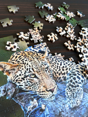 Lazy Leopard is a MasterPiece wooden jigsaw puzzle featuring a beautiful photograph of a leopard lounging over a branch of a tree.

Precision-cut from 3mm thick wood and expertly printed, our MasterPiece puzzles offer a tactile and satisfying puzzling experience like no other. They are perfect for wildlife lovers, nature enthusiasts and anyone looking for a thoughtful gift.