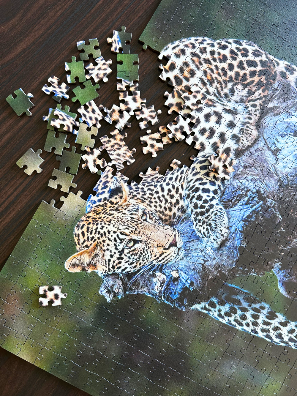 Lazy Leopard is a MasterPiece wooden jigsaw puzzle featuring a beautiful photograph of a leopard lounging over a branch of a tree.

Precision-cut from 3mm thick wood and expertly printed, our MasterPiece puzzles offer a tactile and satisfying puzzling experience like no other. They are perfect for wildlife lovers, nature enthusiasts and anyone looking for a thoughtful gift.