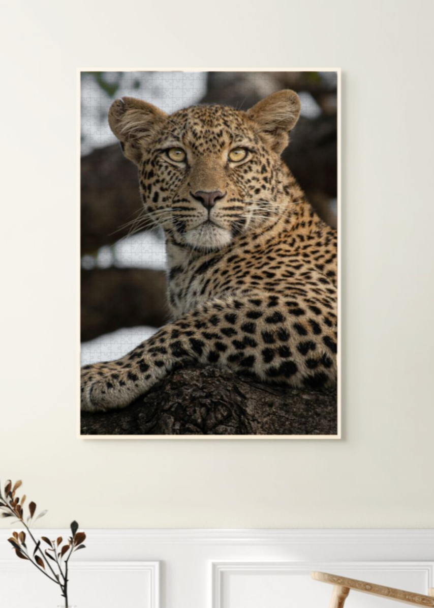 Framed leopard puzzle as an artwork on a wall