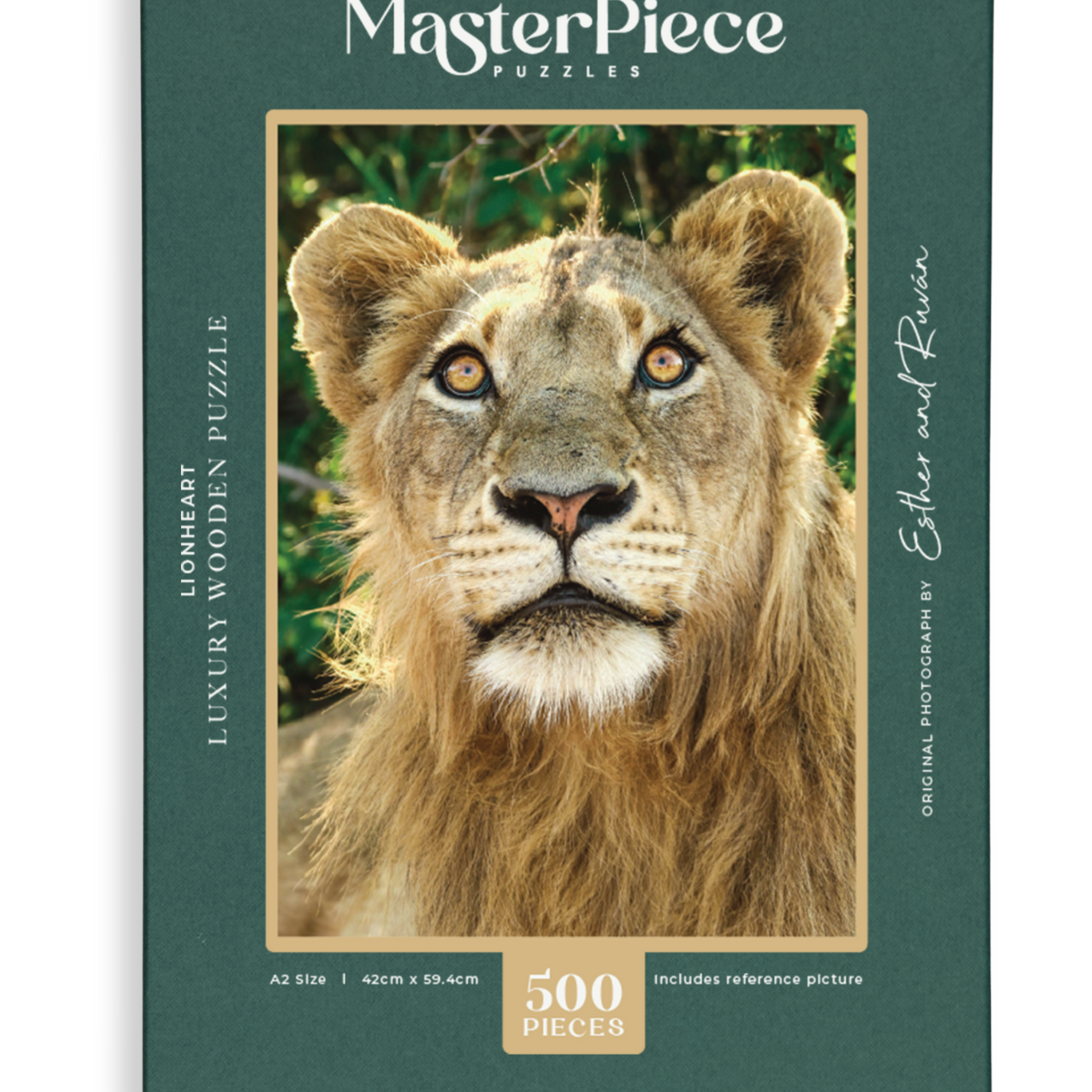 Lionheart is a MasterPiece wooden jigsaw puzzle that features a beautiful portrait photograph of a young male lion.

Precision-cut from 3mm thick wood and expertly printed, our MasterPiece puzzles offer a tactile and satisfying puzzling experience like no other. They are perfect for wildlife lovers, nature enthusiasts and anyone looking for a thoughtful gift. 
