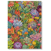 A World of Succulents