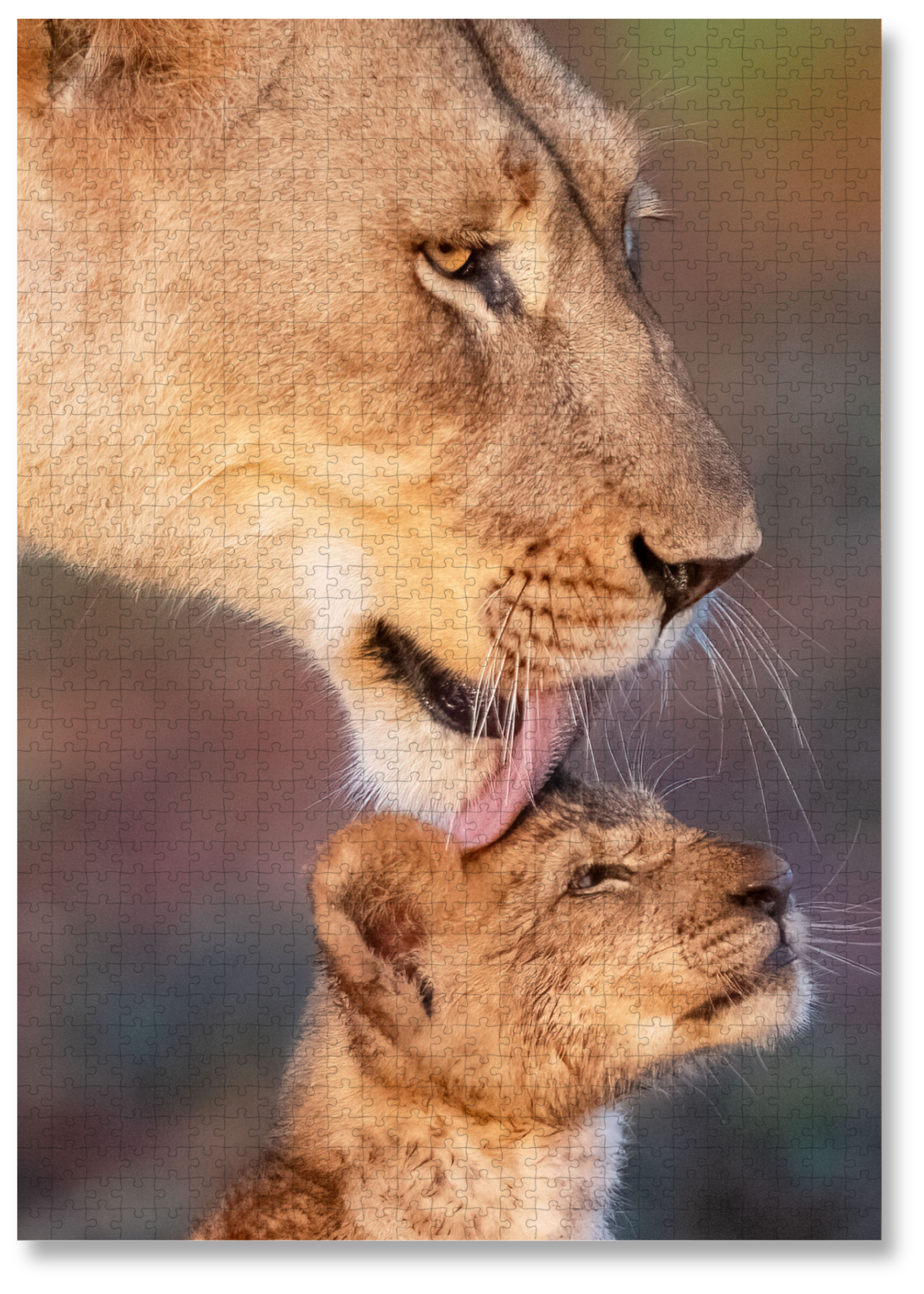 Lion Cub Bath Time